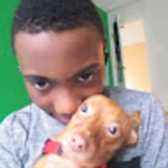 mello_gotudeal